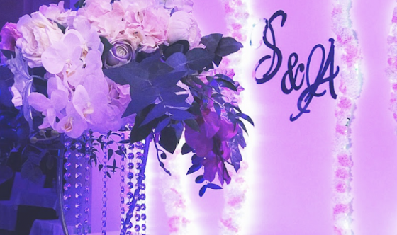 Фото №14 зала Основной зал 