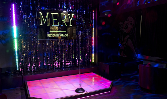 Фото №19 зала Караоке