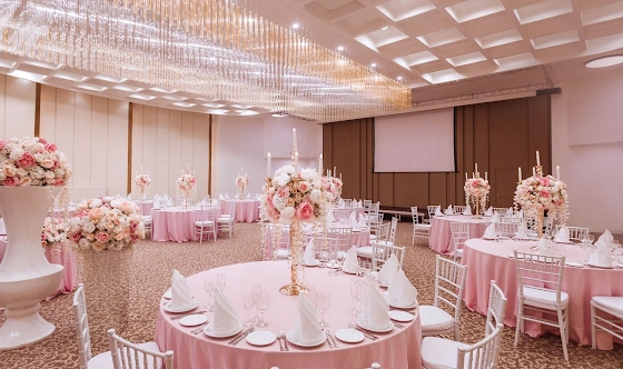 Фото №19 зала Зал «Россини» 