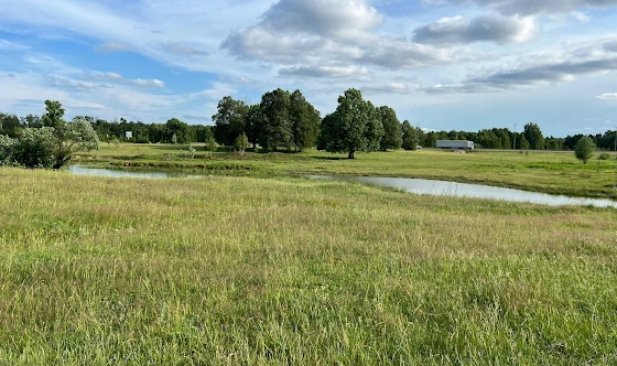 Фото №12 зала Терраса