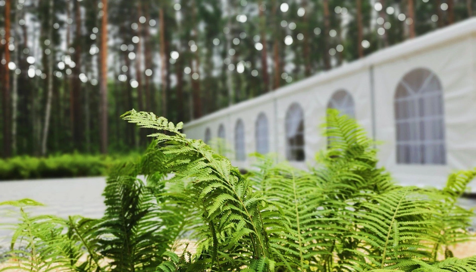 Фото №10 зала Шатёр «Кристалл»