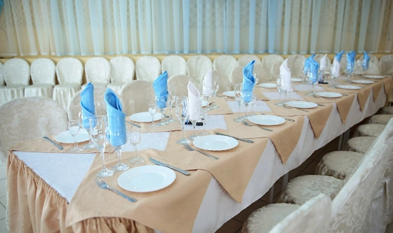 Фото №5 зала Зал «Голубой»