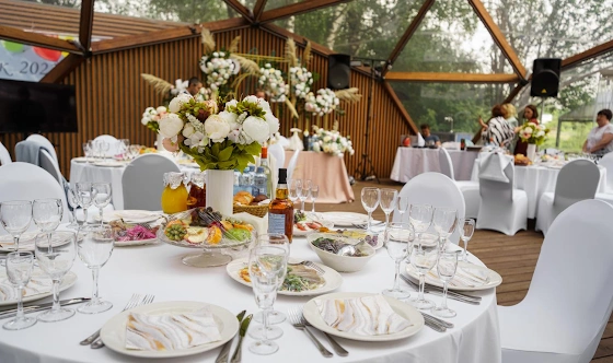 Фото №19 зала Шатер Omega