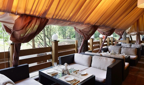 Фото №4 зала Летняя веранда