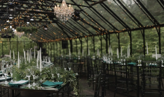 Фото №11 зала Оранжерея