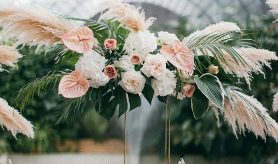 Фото №9 зала Оранжерея 