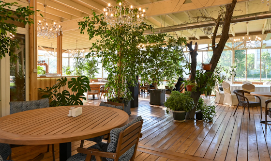 Фото №9 зала Зал «Париж» 