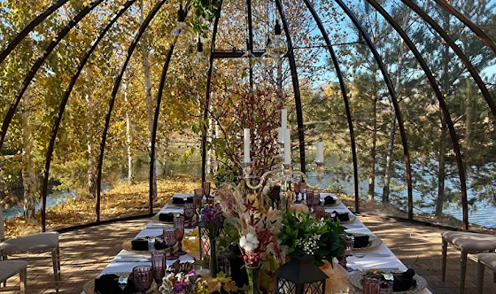 Фото №1 зала Беседка "Купольная"