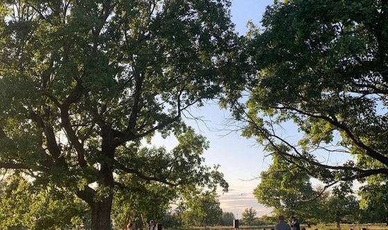 Фото №11 зала Терраса