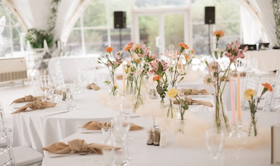 Фото №5 зала Белый купол