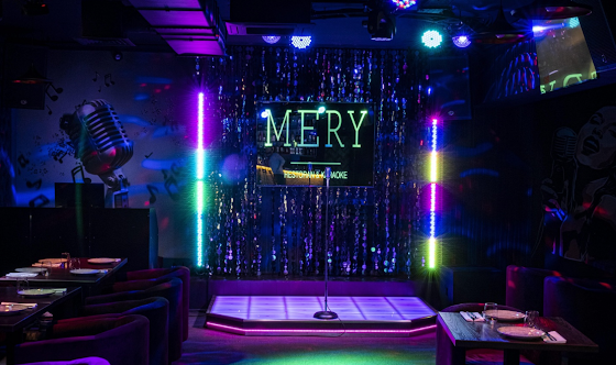 Фото №16 зала Караоке