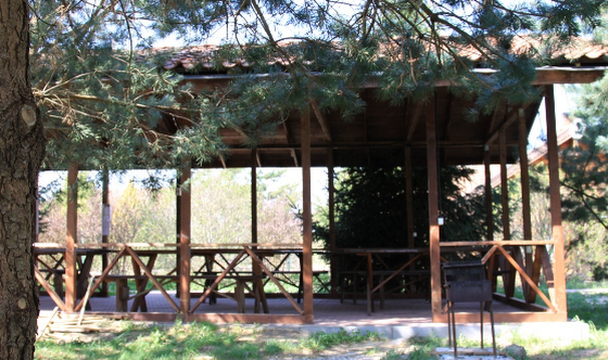 Фото №2 зала Беседка «В лесу»