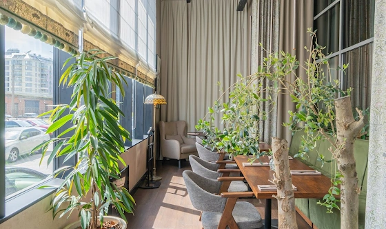 Фото №19 зала Терраса