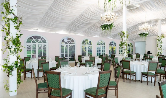 Фото №13 зала Зал «Аэлита»