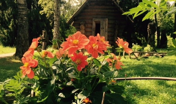 Фото №7 зала Поляна сказок