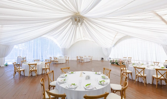 Фото №9 зала Сосновый бор