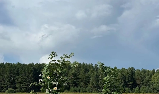 Фото №14 зала Банкетный зал