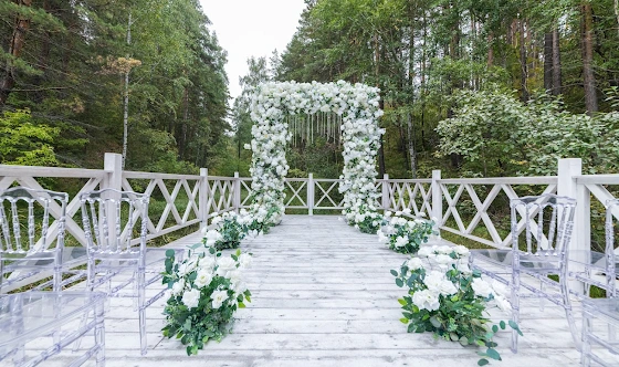 Фото №20 зала Шатер «Лесная сфера»