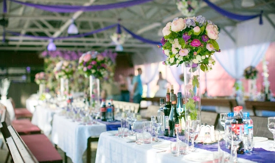 Фото №10 зала Летняя веранда