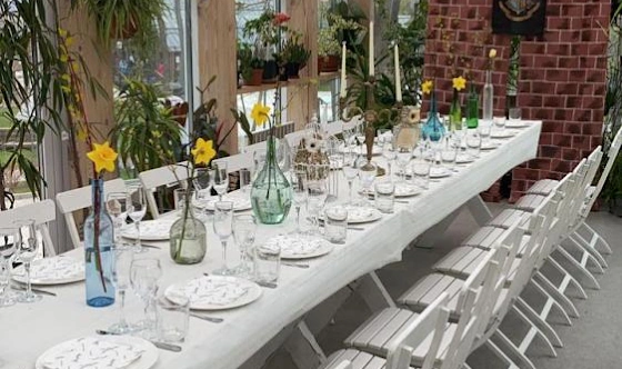 Фото №7 зала Левая и правая оранжерея 