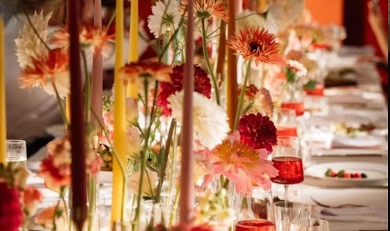 Фото №10 зала Салон «Ласточка»