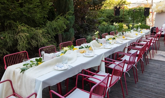 Фото №12 зала Летняя веранда