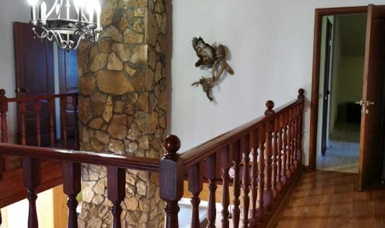 Фото №11 зала Дом 2