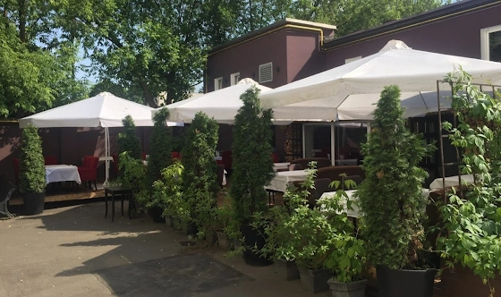 Фото №1 зала Летняя терраса