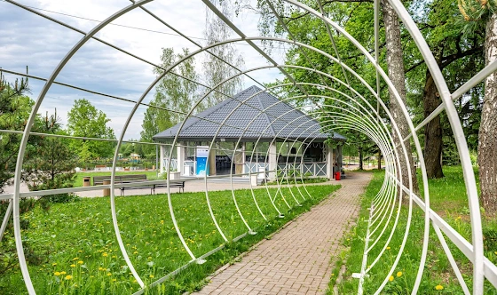 Фото №16 зала Веранда «Прованс» 