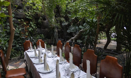 Фото №20 зала Зал «Зимний сад»