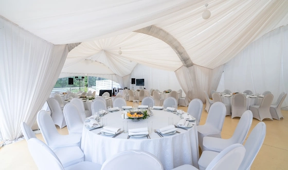Фото №14 зала Шатер «Атмосфера»
