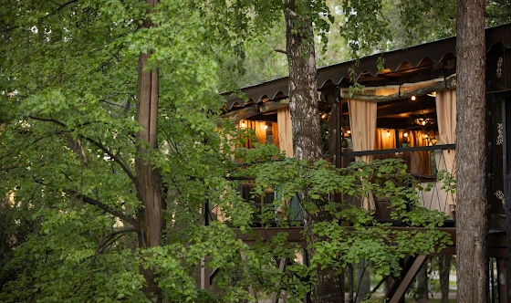 Фото №7 зала Летняя веранда 