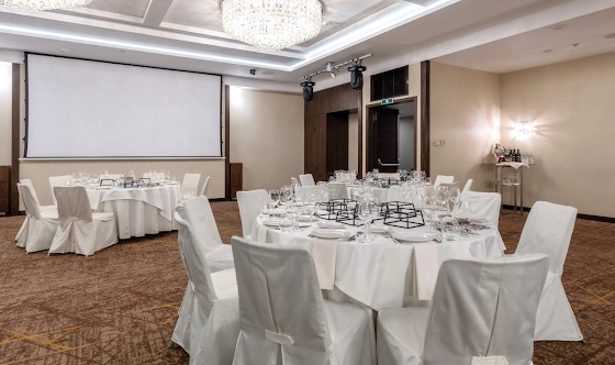 Фото №8 зала Зал «Чайковский»