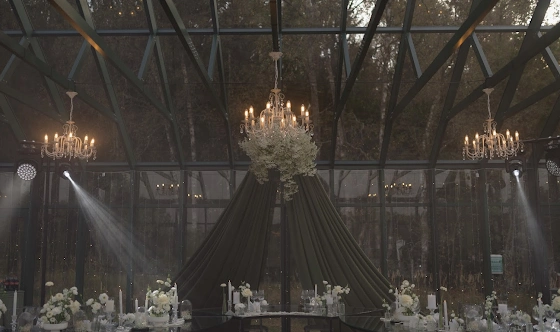 Фото №12 зала Оранжерея «Ботаника»