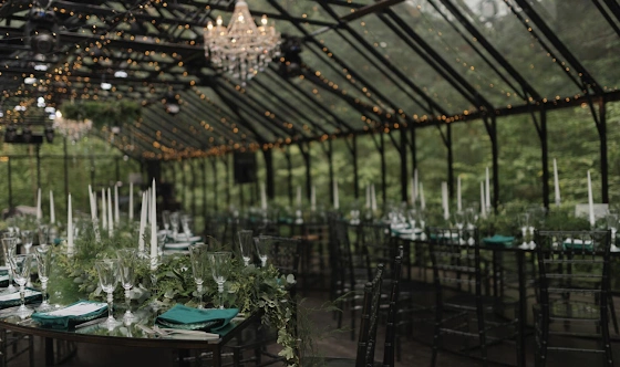 Фото №4 зала Оранжерея