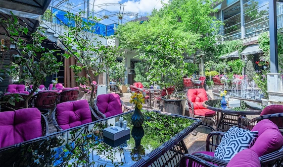 Фото №9 зала Летний дворик