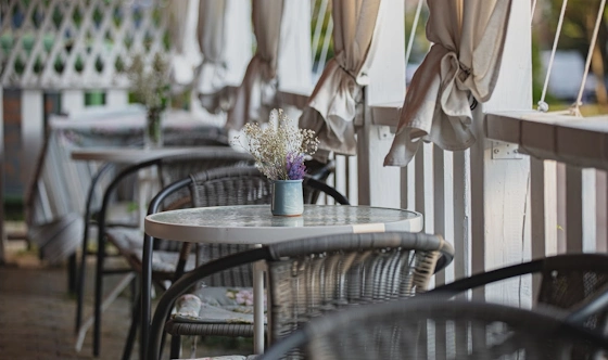 Фото №3 зала Летняя веранда