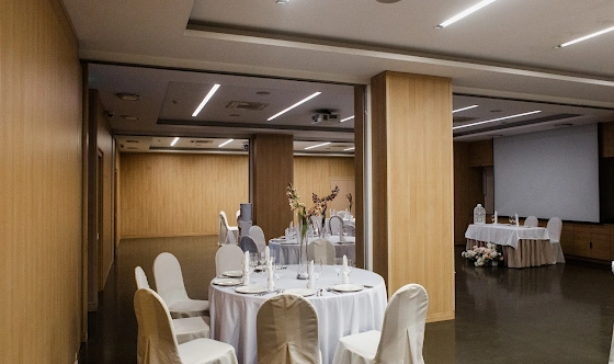 Фото №16 зала Зал "Саммит" 