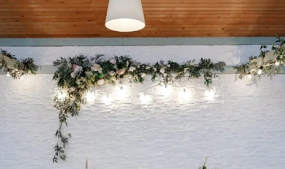 Фото №12 зала Зал «Малая медведица»