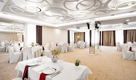 Фото №11 зала Зал «Шишкин» 