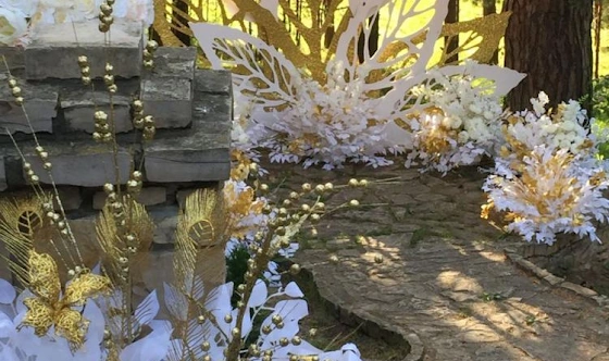 Фото №19 зала Банкетный зал