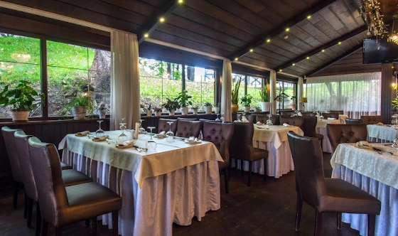 Фото №6 зала Зал ресторана 