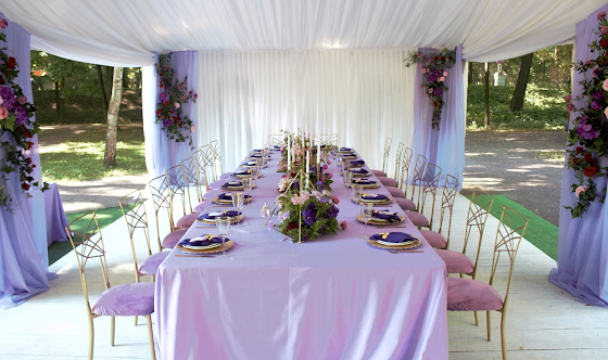 Фото №16 зала Шатёр за Голландским Домиком