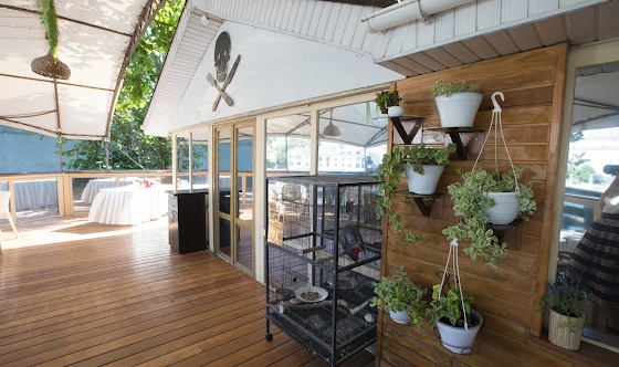 Фото №8 зала Летняя веранда