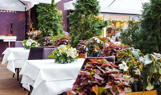 Фото №4 зала Летняя терраса