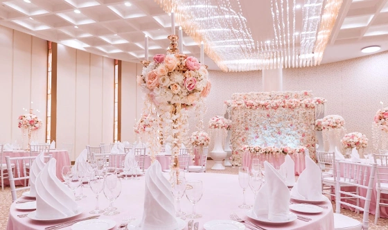 Фото №6 зала Зал «Россини» 