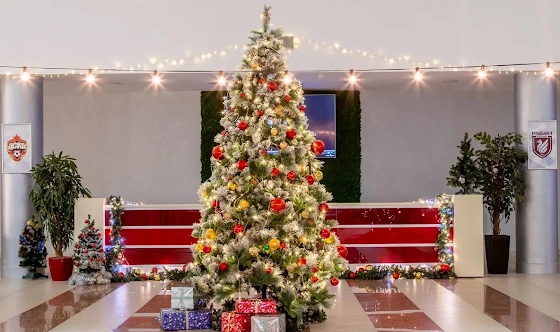 Фото №12 зала Основной