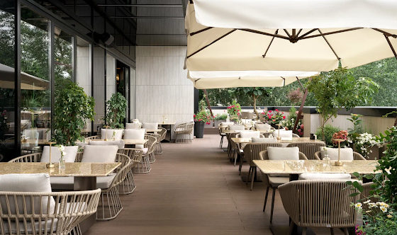 Фото №1 зала Летняя веранда 