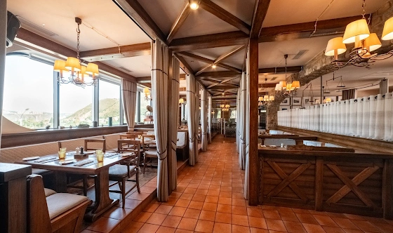 Фото №20 зала Большой панорамный зал