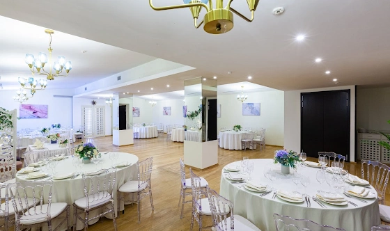 Фото №9 зала Зал «Венеция»